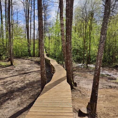 Mājīgs atpūtas namiņš mežā pie Iecavas upes “Mazā zīle”