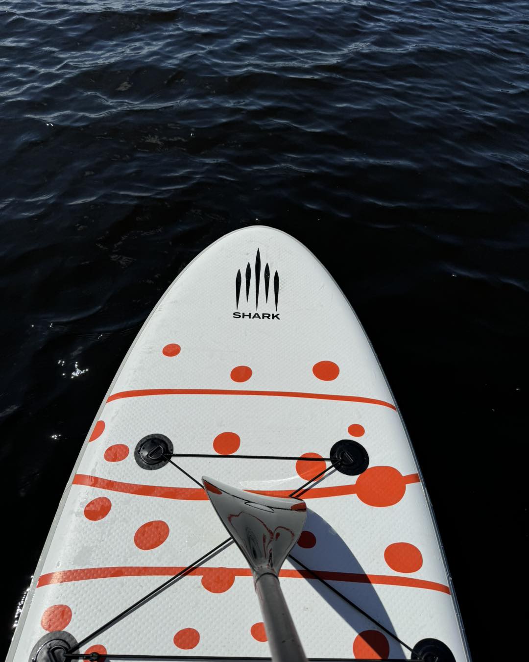 Mājīgs atpūtas namiņš mežā pie Iecavas upes “Mazā zīle”